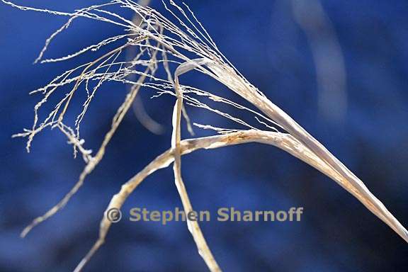 grass santa fe 2 graphic